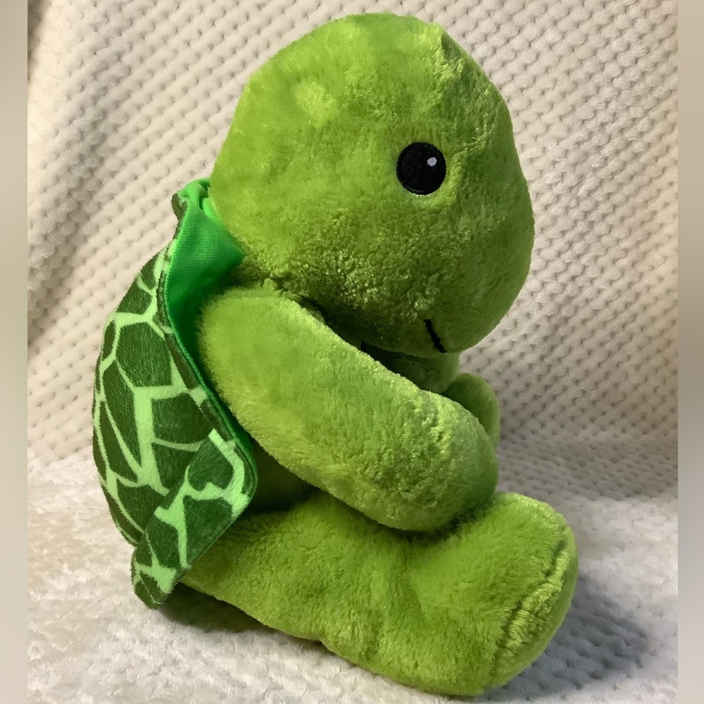 Cedar Fair Green Plush Sea Turtle Stuffed Animal Toy Embroidered Eyes